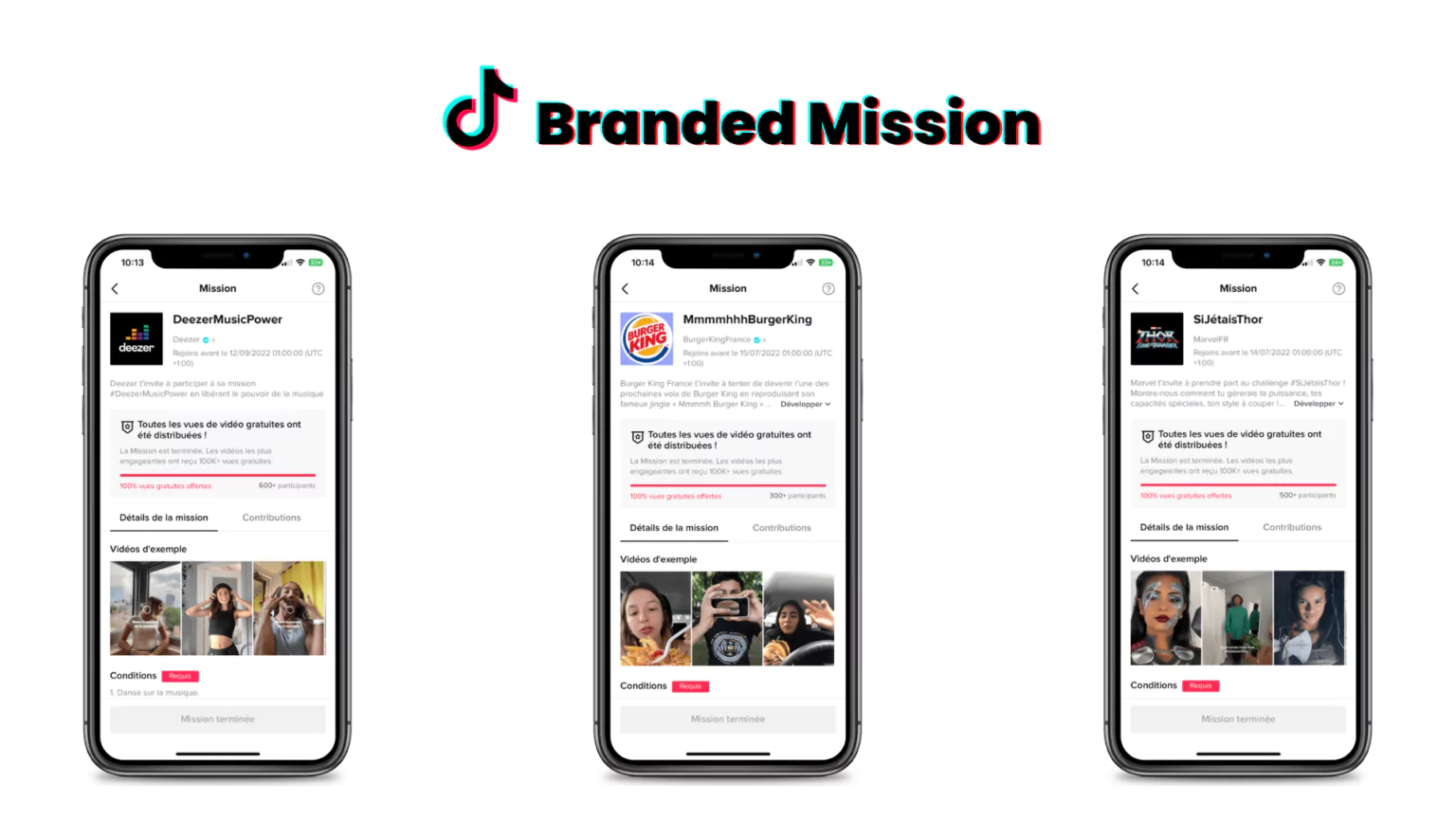 TikTok Brand Mission Ads