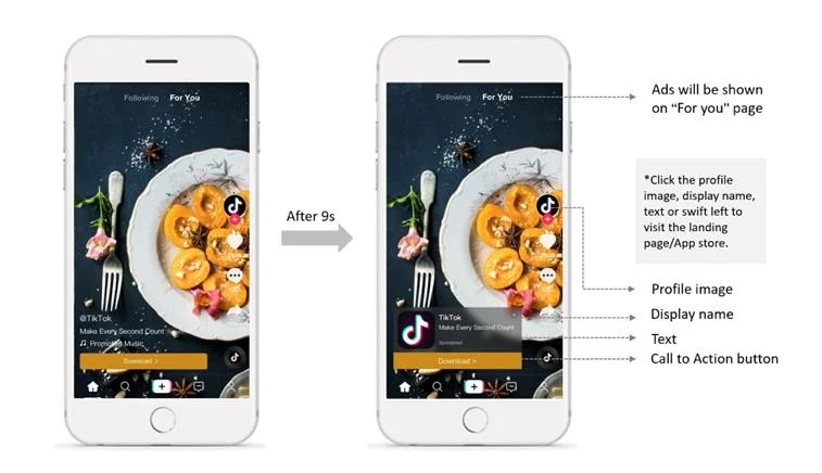 What industries should run ads on TikTok?
