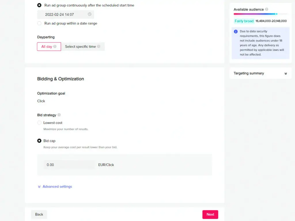 Where to bid for TikTok ads?