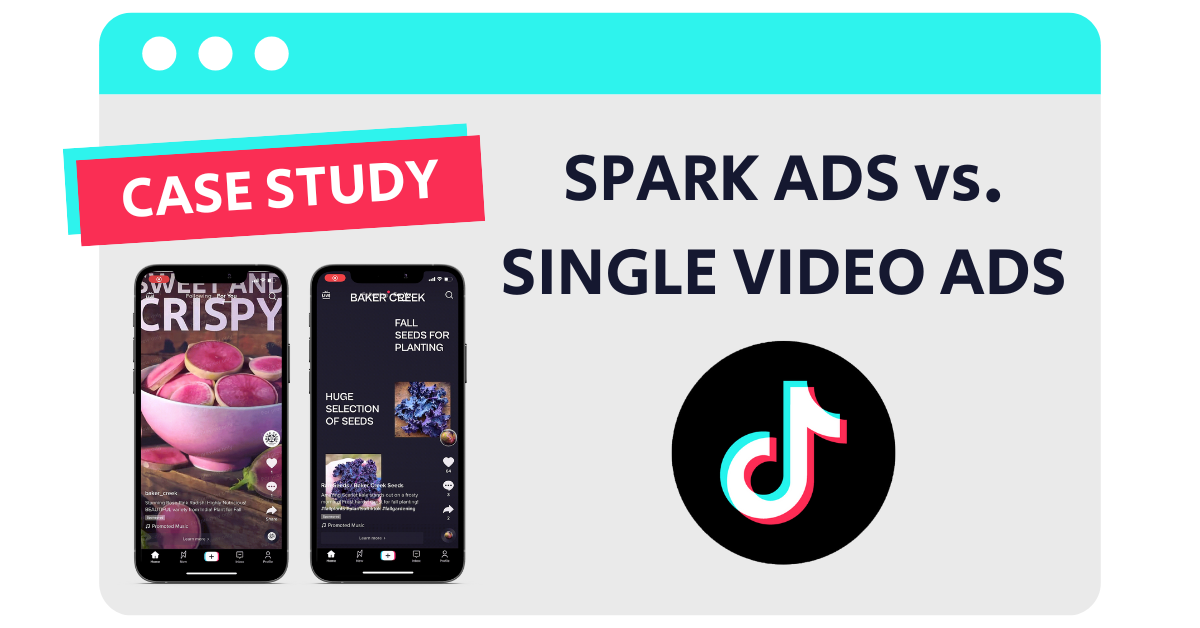 What are PP ads TikTok?
