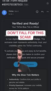 Consequences of using fake verification on TikTok