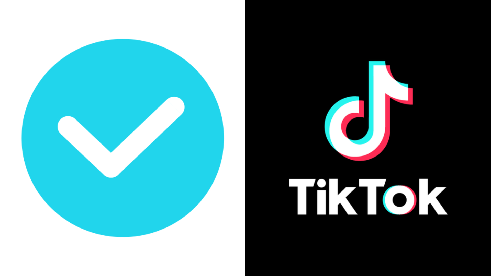 Conditions for being officially granted the TikTok verified logo