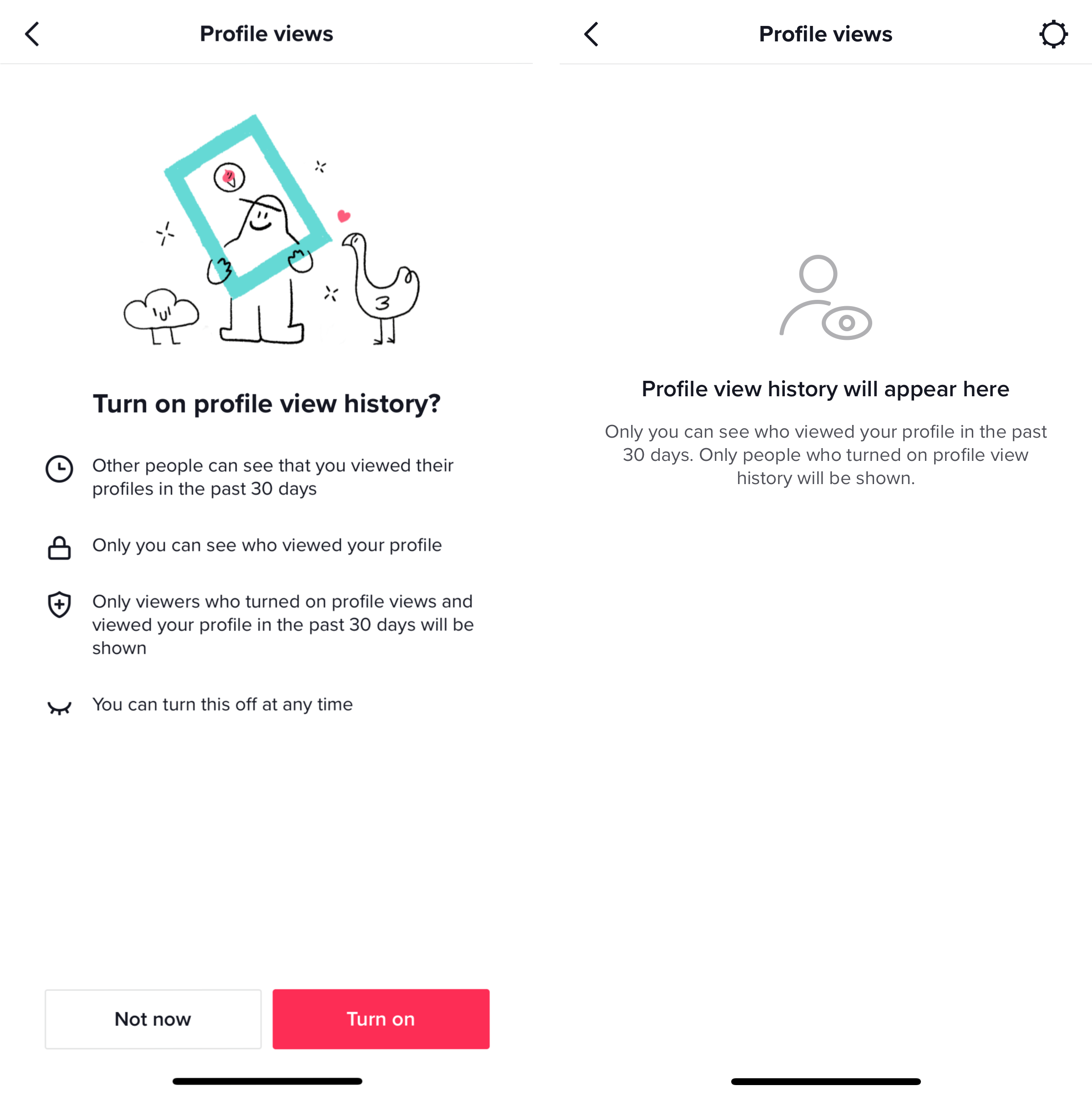 How to view other users' profiles on TikTok without being tracked